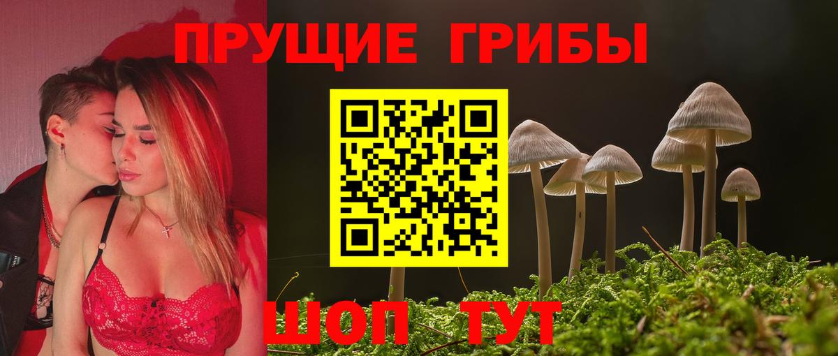 Галлюциногенные грибы прущие грибы Дивногорск
